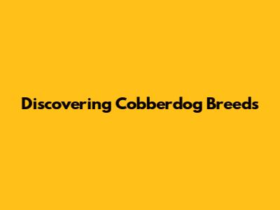Discovering Cobberdog Breeds