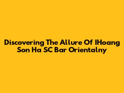 Discovering The Allure Of IHoang Son Ha SC Bar Orientalny