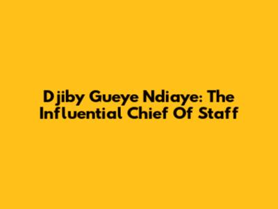 Djiby Gueye Ndiaye: The Influential Chief Of Staff