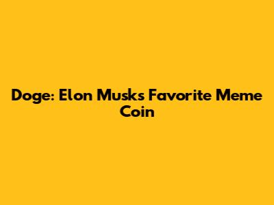 Doge: Elon Musk's Favorite Meme Coin