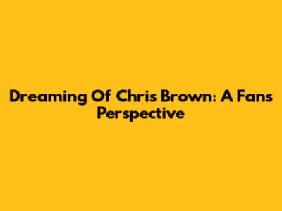 Dreaming Of Chris Brown: A Fan's Perspective