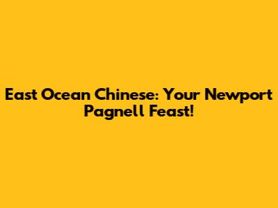 East Ocean Chinese: Your Newport Pagnell Feast!