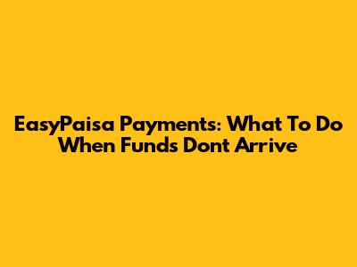 EasyPaisa Payments: What To Do When Funds Don't Arrive