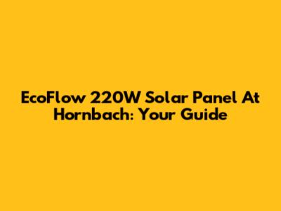 EcoFlow 220W Solar Panel At Hornbach: Your Guide