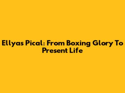Ellyas Pical: From Boxing Glory To Present Life