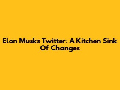 Elon Musk's Twitter: A Kitchen Sink Of Changes