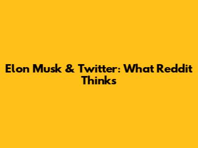Elon Musk & Twitter: What Reddit Thinks