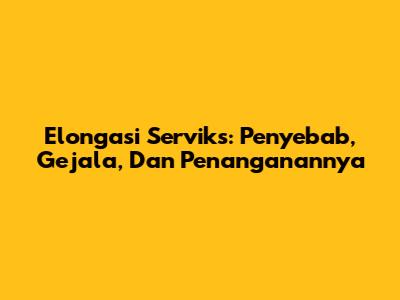 Elongasi Serviks: Penyebab, Gejala, Dan Penanganannya
