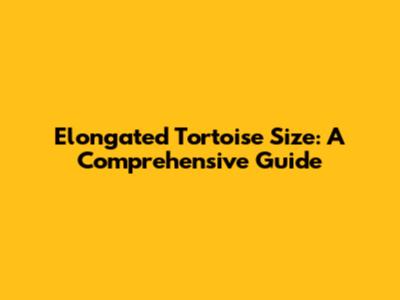 Elongated Tortoise Size: A Comprehensive Guide