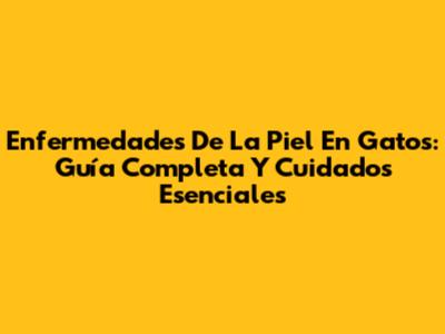 Enfermedades De La Piel En Gatos: Guía Completa Y Cuidados Esenciales