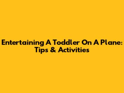 Entertaining A Toddler On A Plane: Tips & Activities