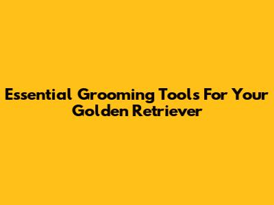 Essential Grooming Tools For Your Golden Retriever