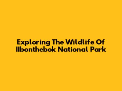 Exploring The Wildlife Of IIbonthebok National Park