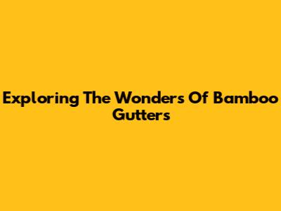 Exploring The Wonders Of Bamboo Gutters