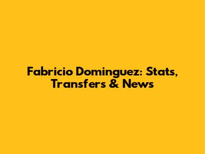 Fabricio Dominguez: Stats, Transfers & News