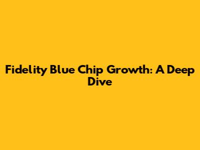 Fidelity Blue Chip Growth: A Deep Dive