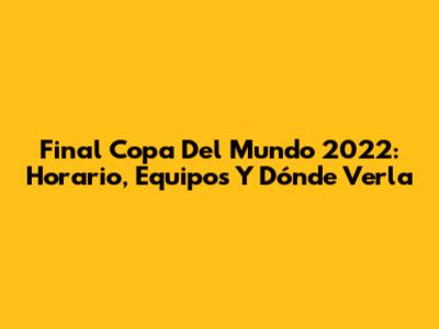 Final Copa Del Mundo 2022: Horario, Equipos Y Dónde Verla