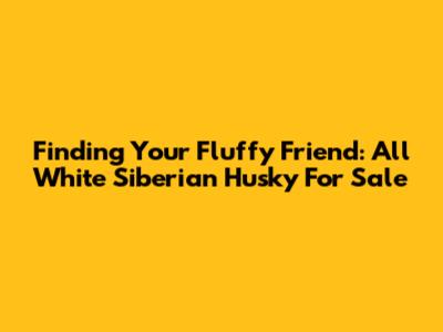 Finding Your Fluffy Friend: All White Siberian Husky For Sale