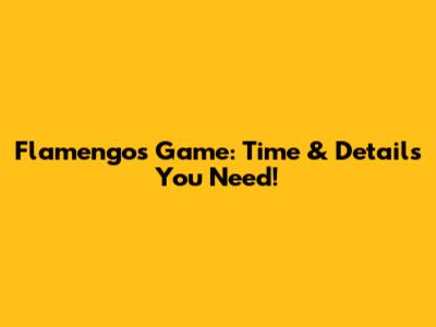 Flamengo's Game: Time & Details You Need!