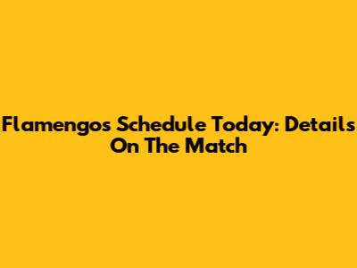 Flamengo's Schedule Today: Details On The Match