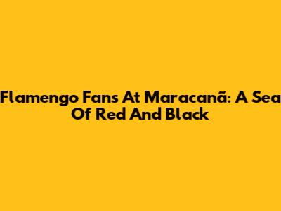Flamengo Fans At Maracanã: A Sea Of Red And Black
