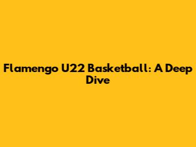 Flamengo U22 Basketball: A Deep Dive