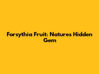 Forsythia Fruit: Nature's Hidden Gem