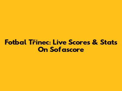 Fotbal Třinec: Live Scores & Stats On Sofascore