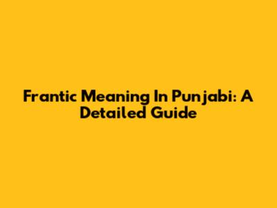 Frantic Meaning In Punjabi: A Detailed Guide