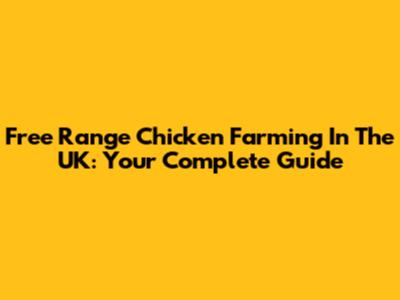 Free Range Chicken Farming In The UK: Your Complete Guide