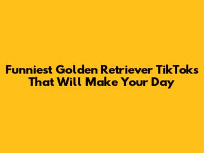 Funniest Golden Retriever TikToks That Will Make Your Day