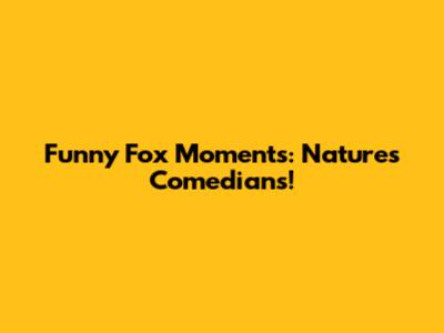 Funny Fox Moments: Nature's Comedians!