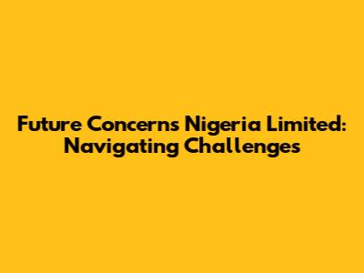 Future Concerns Nigeria Limited: Navigating Challenges