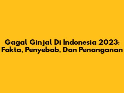 Gagal Ginjal Di Indonesia 2023: Fakta, Penyebab, Dan Penanganan