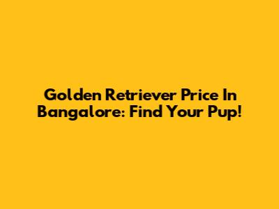 Golden Retriever Price In Bangalore: Find Your Pup!