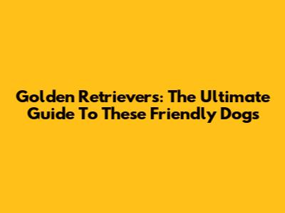 Golden Retrievers: The Ultimate Guide To These Friendly Dogs