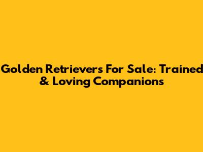 Golden Retrievers For Sale: Trained & Loving Companions