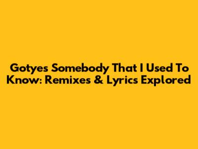 Gotye's Somebody That I Used To Know: Remixes & Lyrics Explored