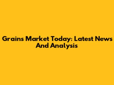 Grains Market Today: Latest News And Analysis