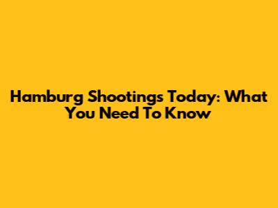 Hamburg Shootings Today: What You Need To Know