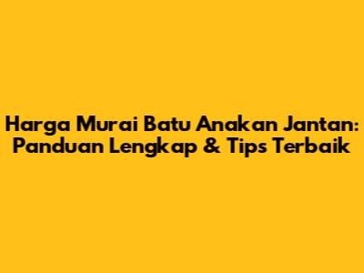 Harga Murai Batu Anakan Jantan: Panduan Lengkap & Tips Terbaik