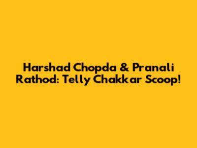 Harshad Chopda & Pranali Rathod: Telly Chakkar Scoop!