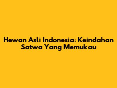 Hewan Asli Indonesia: Keindahan Satwa Yang Memukau