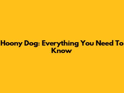 Hoony Dog: Everything You Need To Know