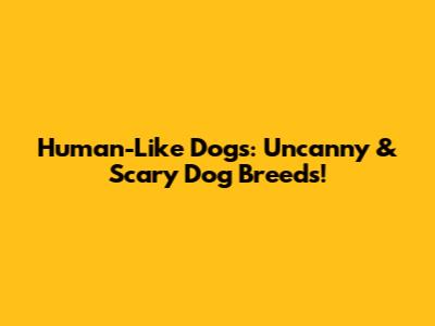 Human-Like Dogs: Uncanny & Scary Dog Breeds!