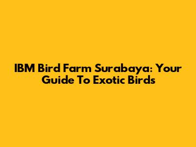 IBM Bird Farm Surabaya: Your Guide To Exotic Birds