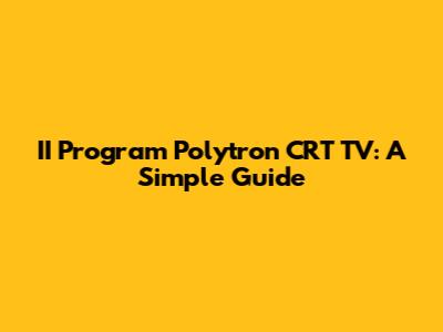 II Program Polytron CRT TV: A Simple Guide