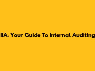 IIA: Your Guide To Internal Auditing