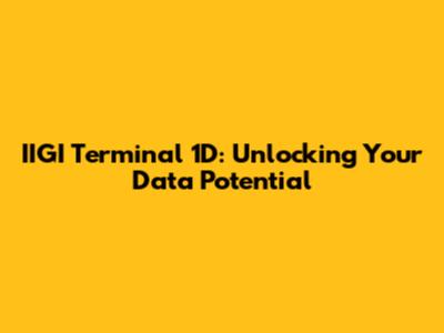 IIGI Terminal 1D: Unlocking Your Data Potential