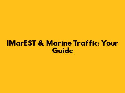 IMarEST & Marine Traffic: Your Guide